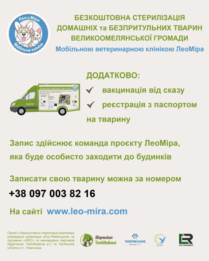 На Рівненщині безоплатно стерилізують і вакцинують тварин - фото 4