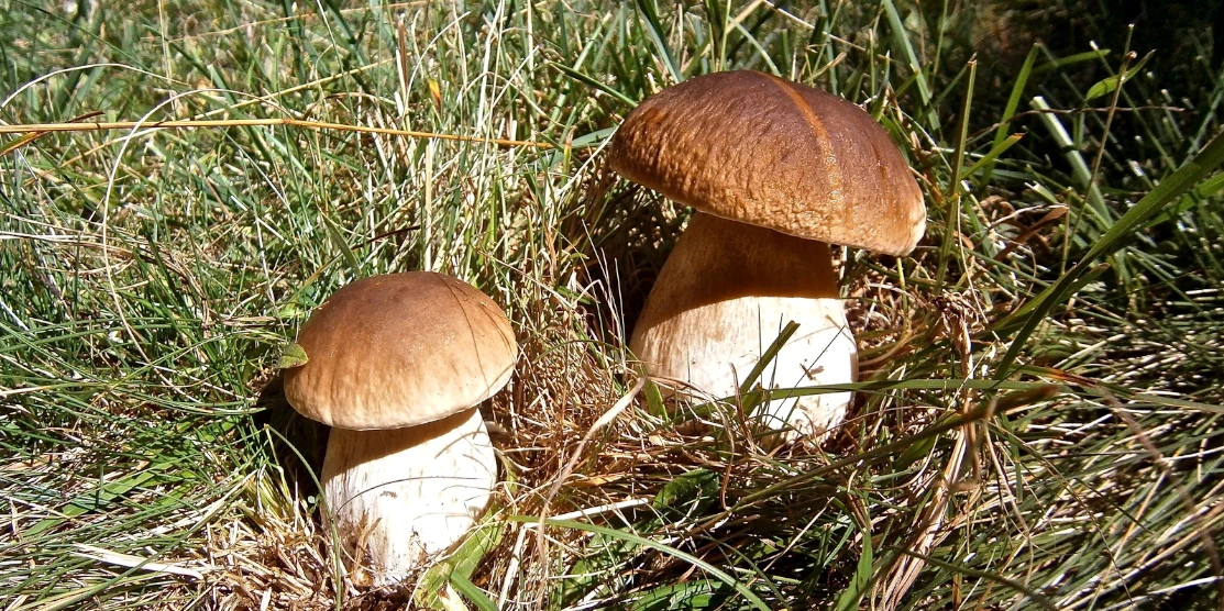 Прогноз погоди для Рівненщини на 1 вересня. Мінлива хмарність, без істотних опадів Прогноз погоди для Рівненщини на 1 вересня. Мінлива хмарність, без істотних опадів