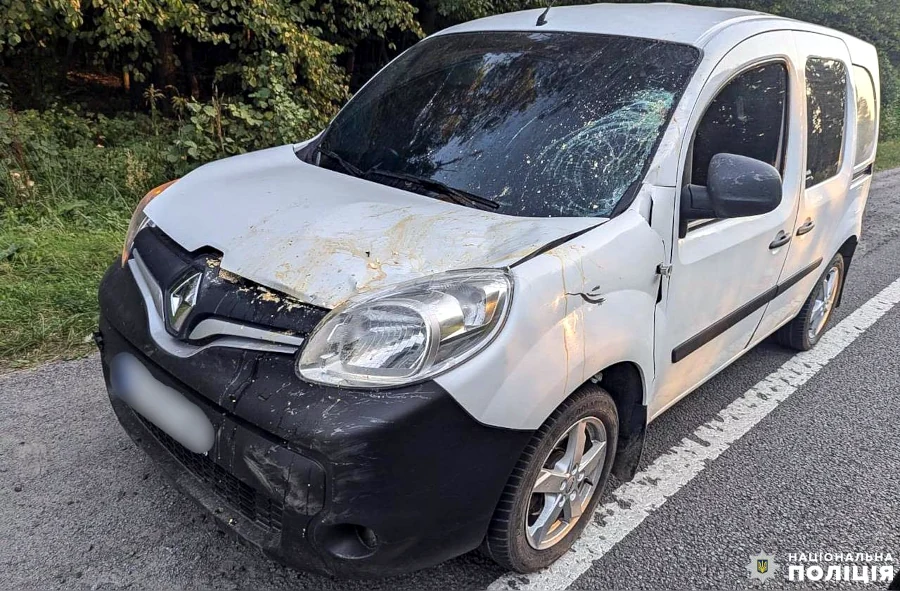 В ДТП у Рівненському районі загинув велосипедист - фото 1