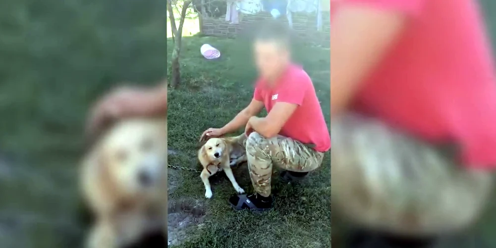 На Сарненщині чоловік побив собаку (ВІДЕО)