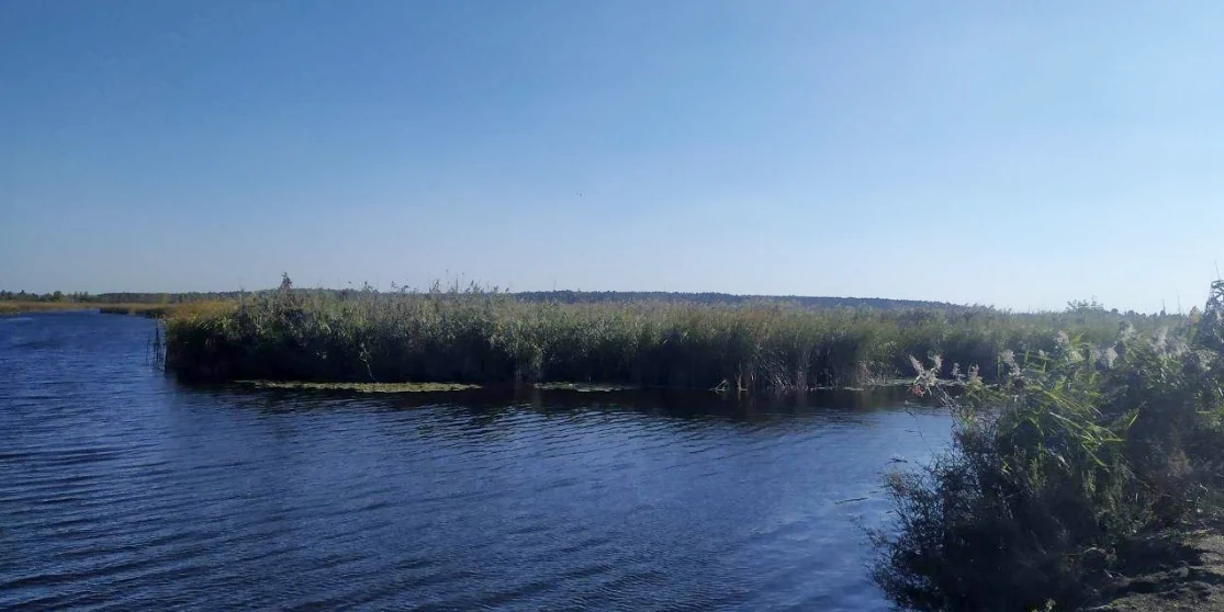 Частину гідрологічного заказника повернуло громаді на Дубенщині
