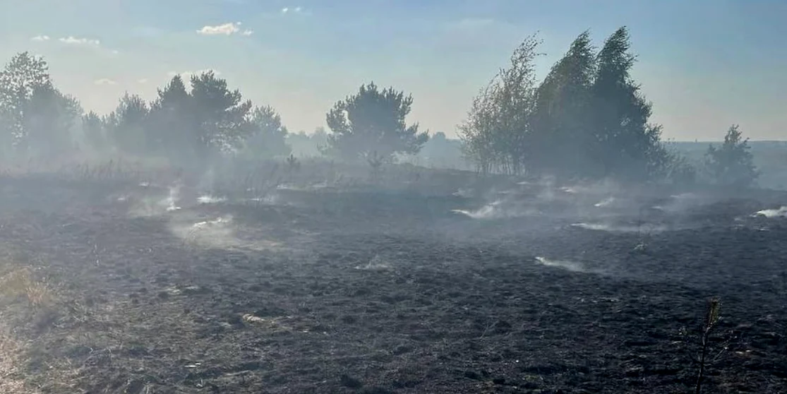 Масштабне загоряння трави сталося на Сарненщині (ФОТО)