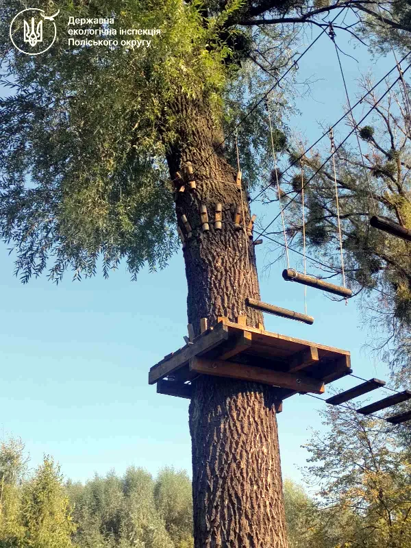 Мотузковий атракціон у Дубно пошкодив дерева - фото 1