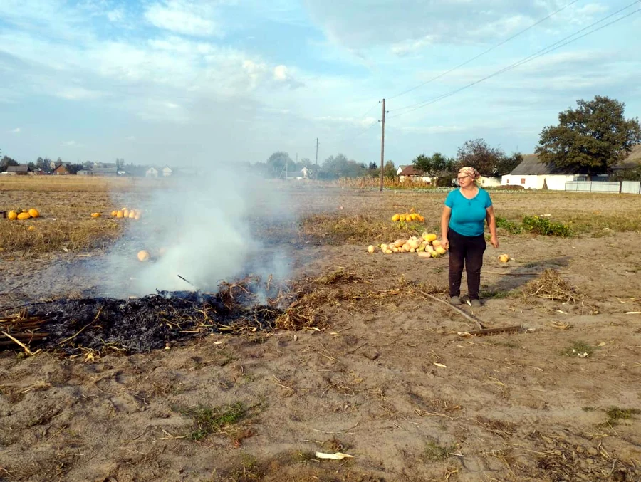 Двох паліїв сухої рослинності оштрафували на Сарненщині - фото 1