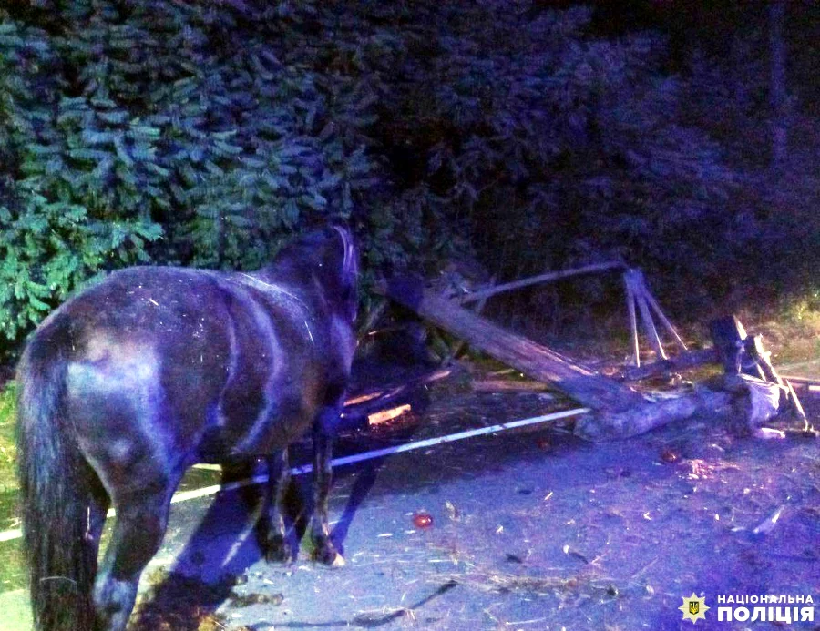 Загинув водій гужового транспорту в ДТП на Сарненщині - фото 1 Загинув водій гужового транспорту в ДТП на Сарненщині - фото 1