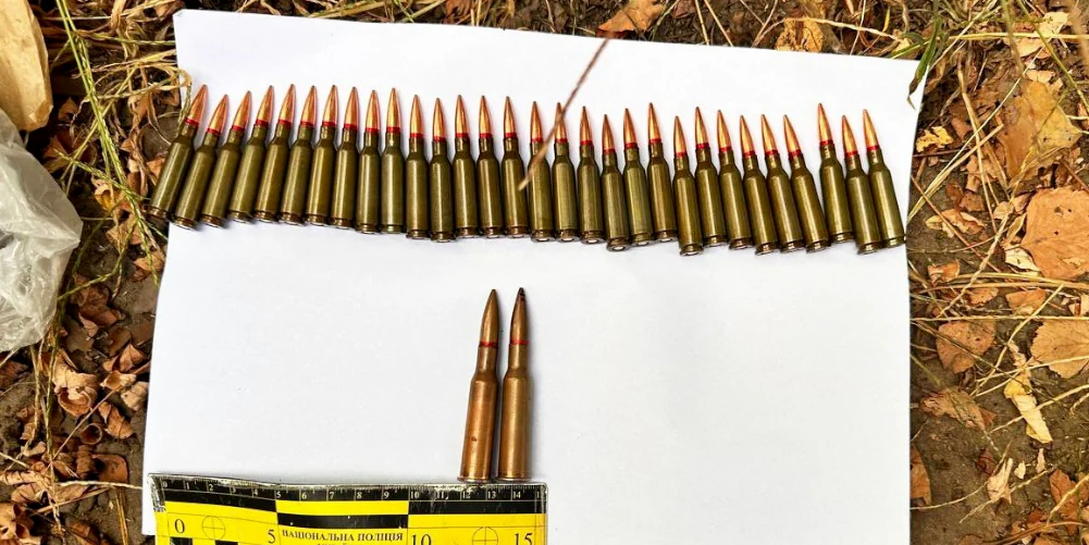Поліція знайшла зброю, боєприпаси й бурштин у мешканців Дубровиччини