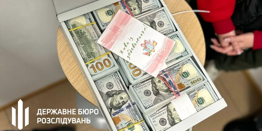 Понад $1,5 млн виявили у депутатки Хмельницької міськради