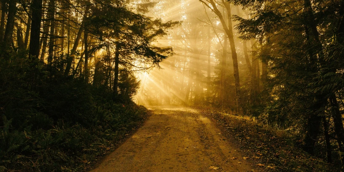 Прогноз погоди для Рівненщини на 8 жовтня. Мінлива хмарність, без опадів