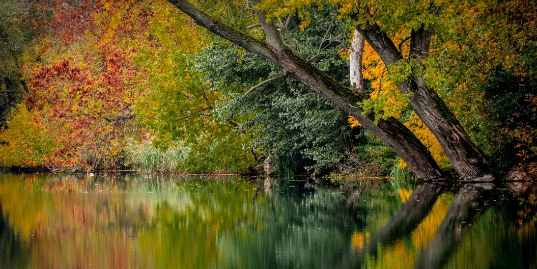 Прогноз погоди для Рівненщини на 7 жовтня. Хмарно з проясненнями. Короткочасний дощ Прогноз погоди для Рівненщини на 7 жовтня. Хмарно з проясненнями. Короткочасний дощ