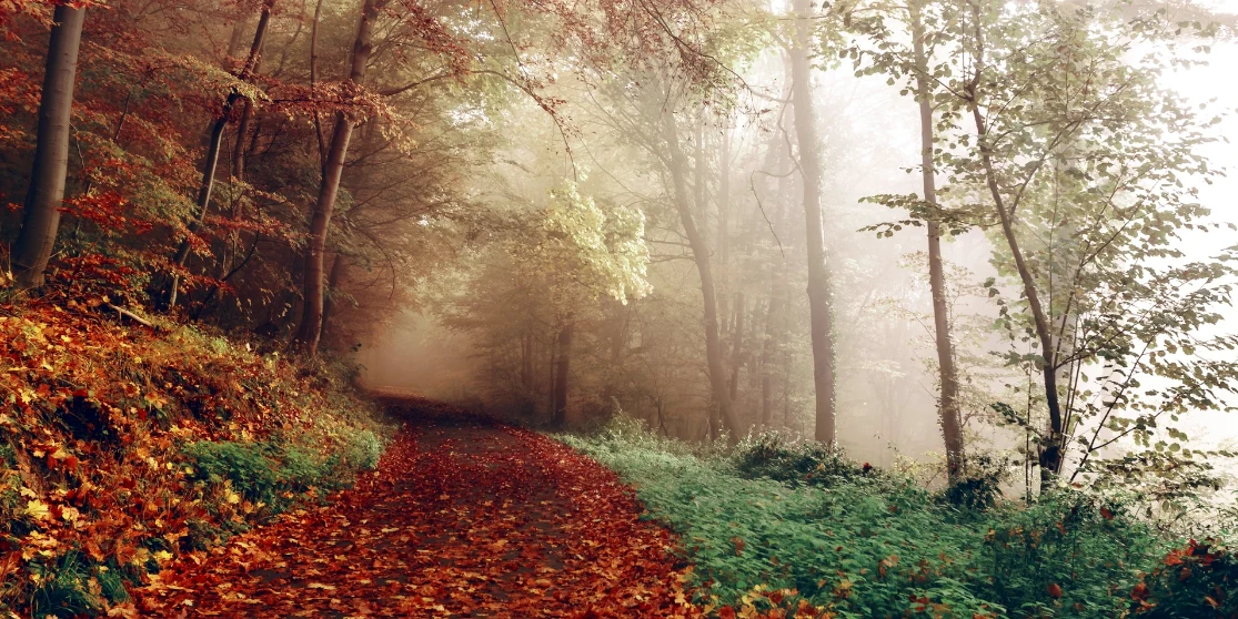 Прогноз погоди для Рівненщини на 10 жовтня. Мінлива хмарність, без опадів Прогноз погоди для Рівненщини на 10 жовтня. Мінлива хмарність, без опадів