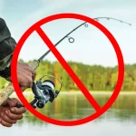 На Рівненщині з 1 листопада заборонено вилов риби на зимувальних ямах до весни 2026 Заборона на вилов водних біоресурсів на Рівненщині
