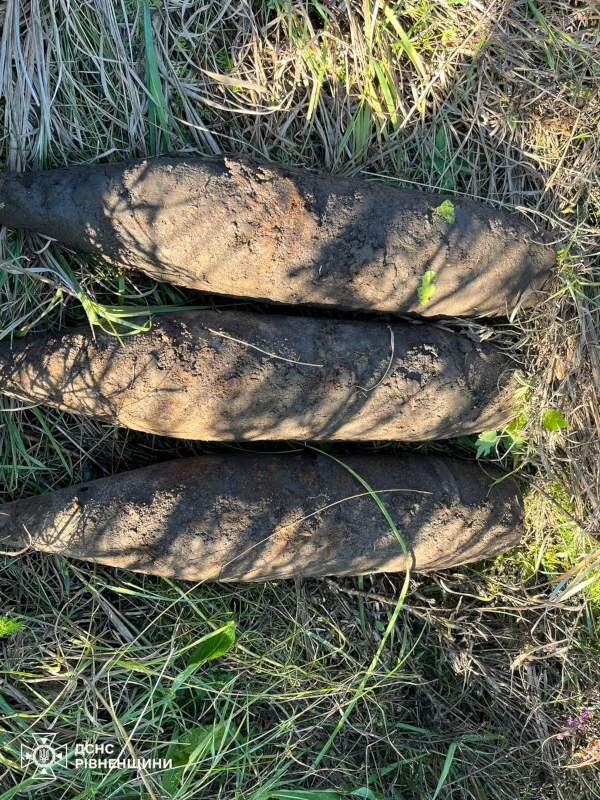 У Дубенському районі садили цибулю й викопали боєприпаси - фото 1