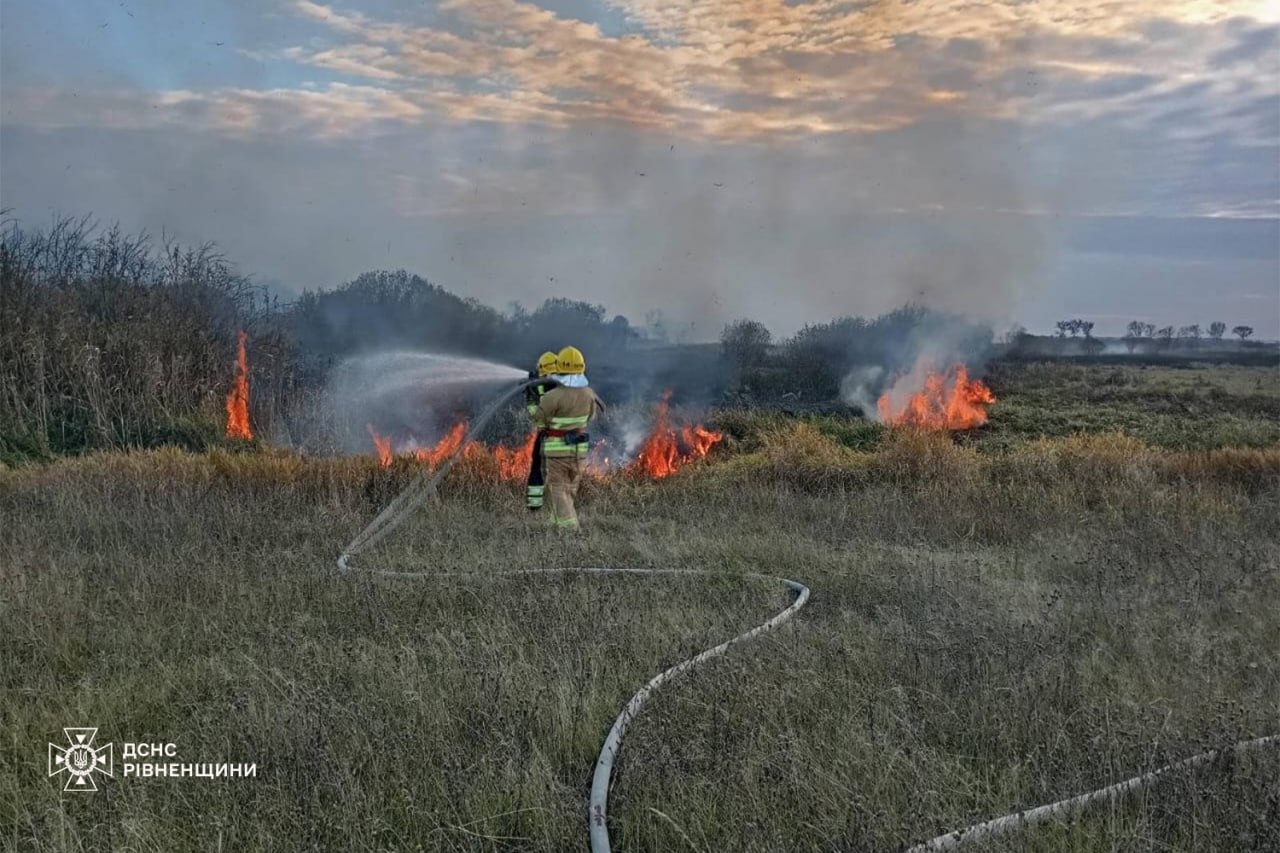 Пожежі на Рівненщині за добу знищили понад 1,5 гектара землі