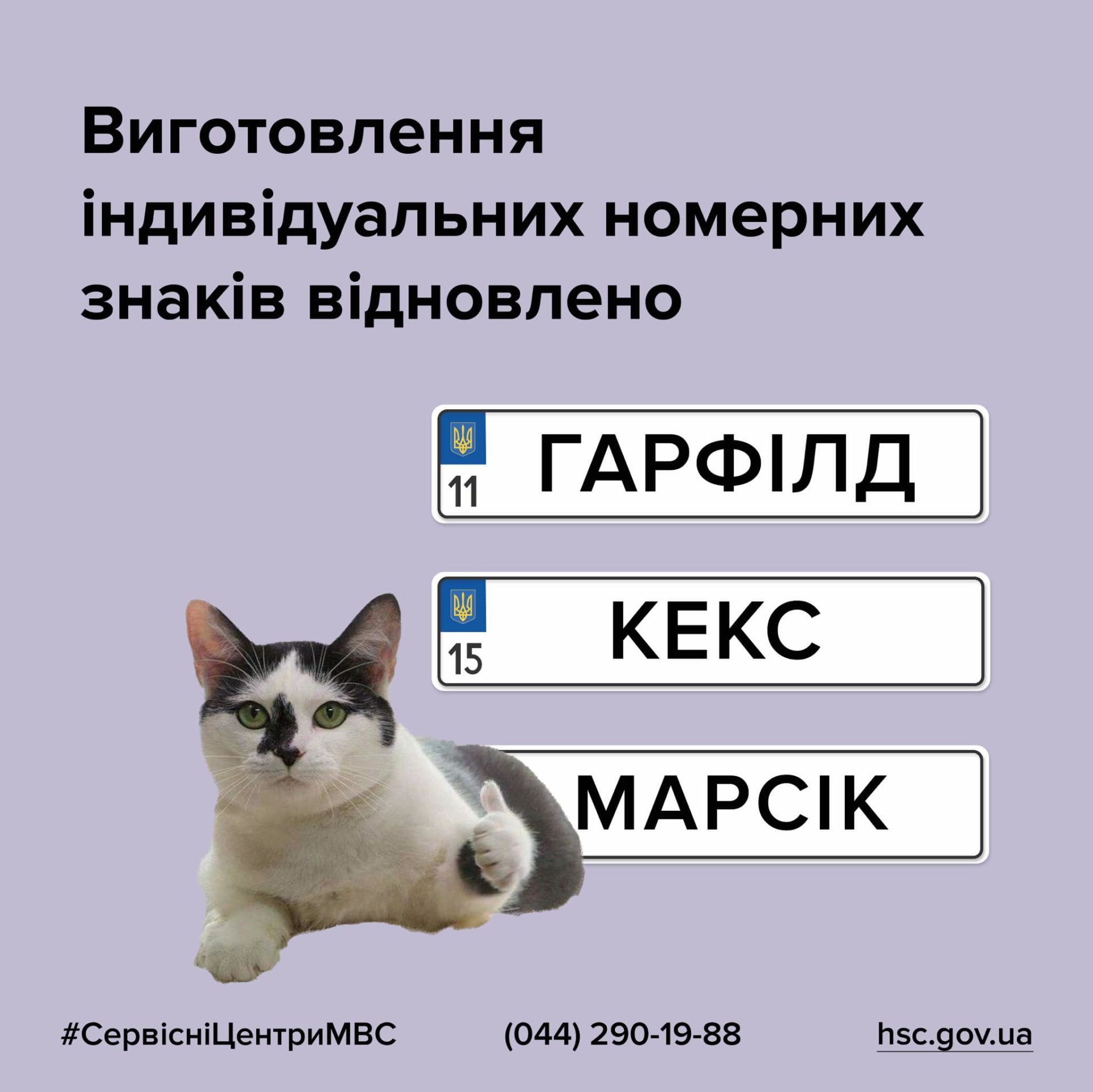 Скільки коштує індивідуальний номерний знак