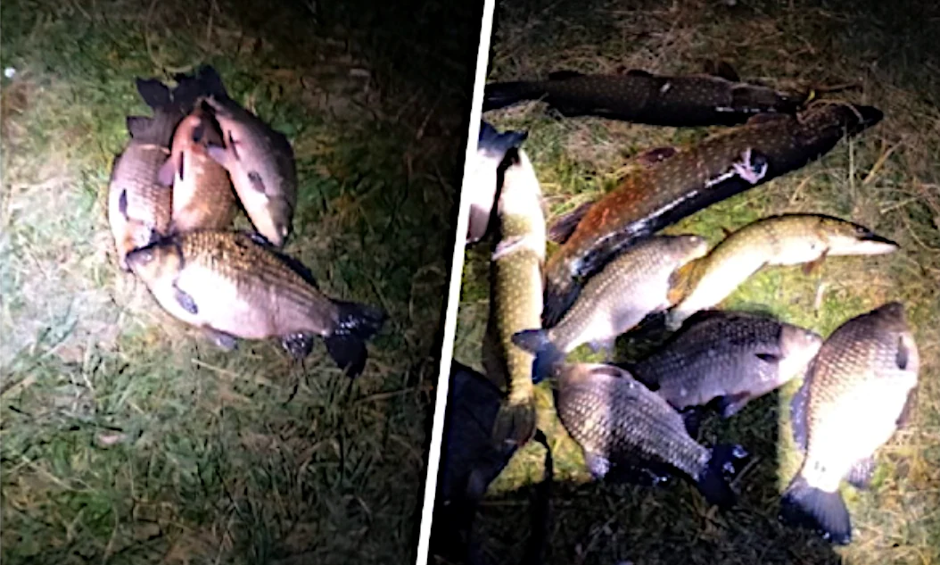 На Хрінницькому водосховищі оштрафували чотирьох підводних мисливців