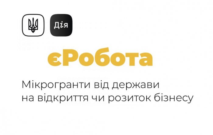 Рівненщина у трійці лідерів за реалізацією програми “єРобота. Власна справа”