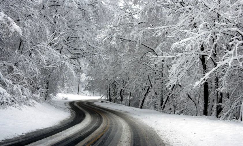 Прогноз погоди для Рівненщини на 16 грудня. Сніг, дощ і сильний вітер