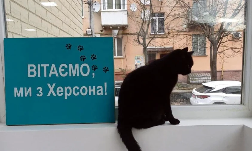 Одна з найбільших книгарень в Україні знаходиться у Рівному