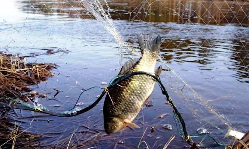 Понад 500 метрів сіток виявлено у Хрінницькому водосховищі