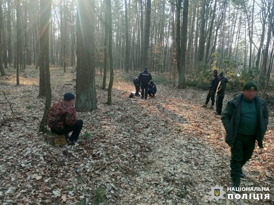 Незаконну вирубку лісу виявили на Рівненщині - фото 1