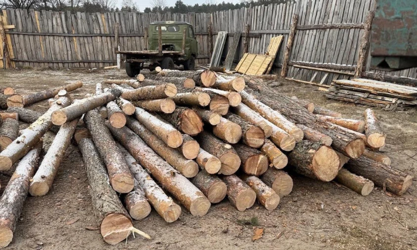 Незаконну порубку лісу викрили на Рівненщині