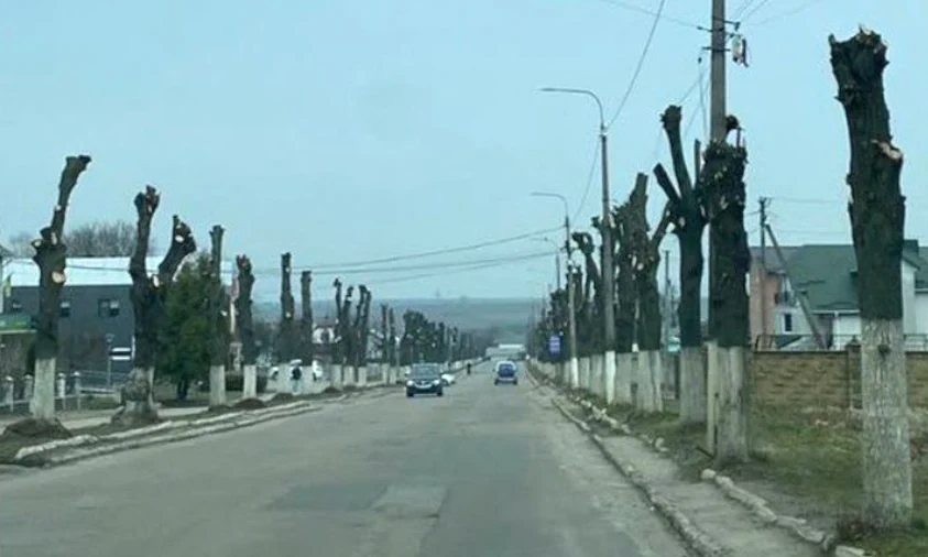 Комунальне підприємство на Рівненщині сплатило понад 400 тисяч гривень за пошкодження дерев