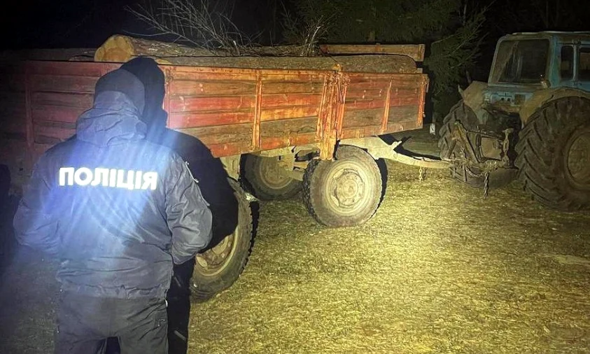 Незаконну порубку лісу виявили на Рівненщині