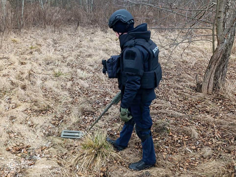 У лісі на Рівненщині знищили мінометну міну