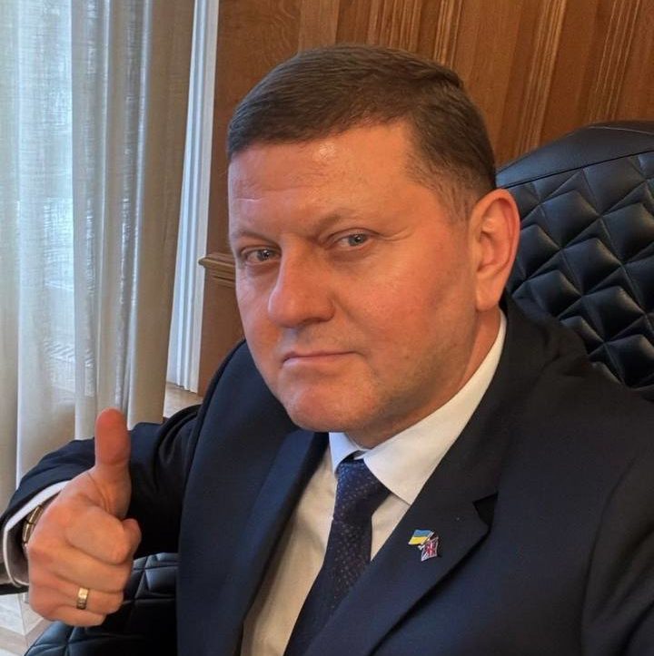 Залужному не соромно за минулий рік