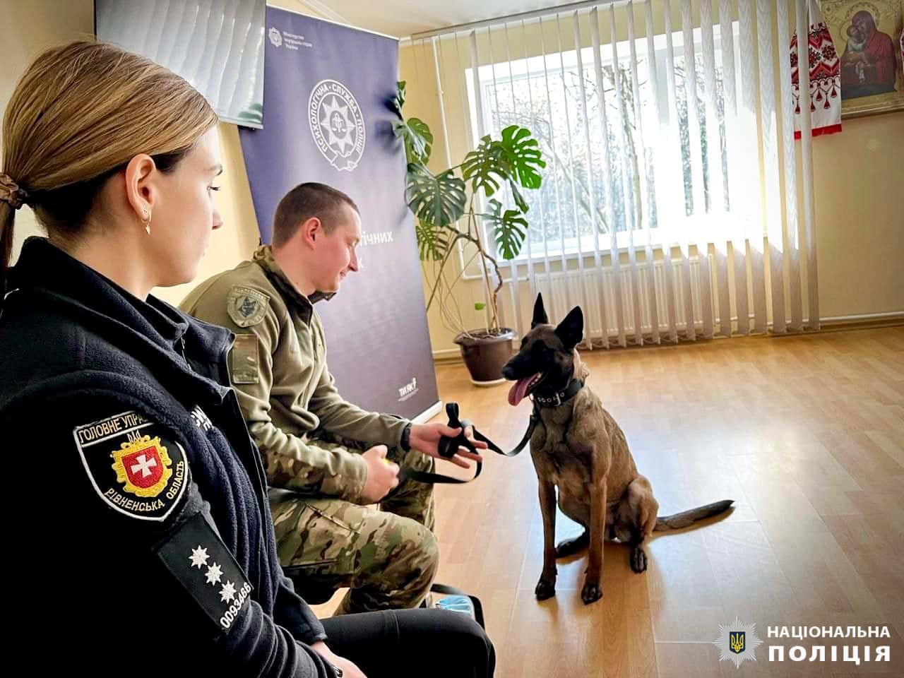 Чотирилапі терапевти: як собаки допомагають відновлювати поранених бійців