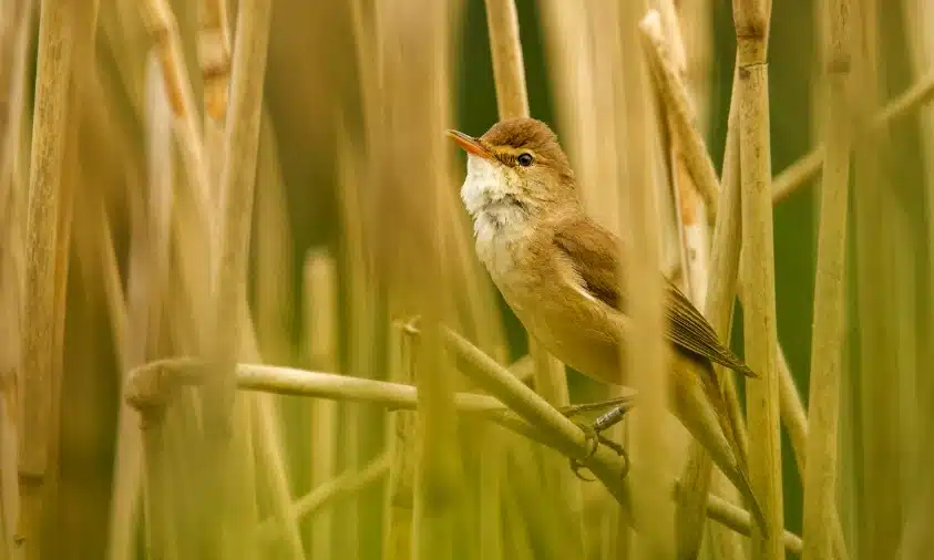 Прогноз погоди для Рівненщини на 22 березня. Без опадів, помірний вітер Прогноз погоди для Рівненщини на 22 березня. Без опадів, помірний вітер