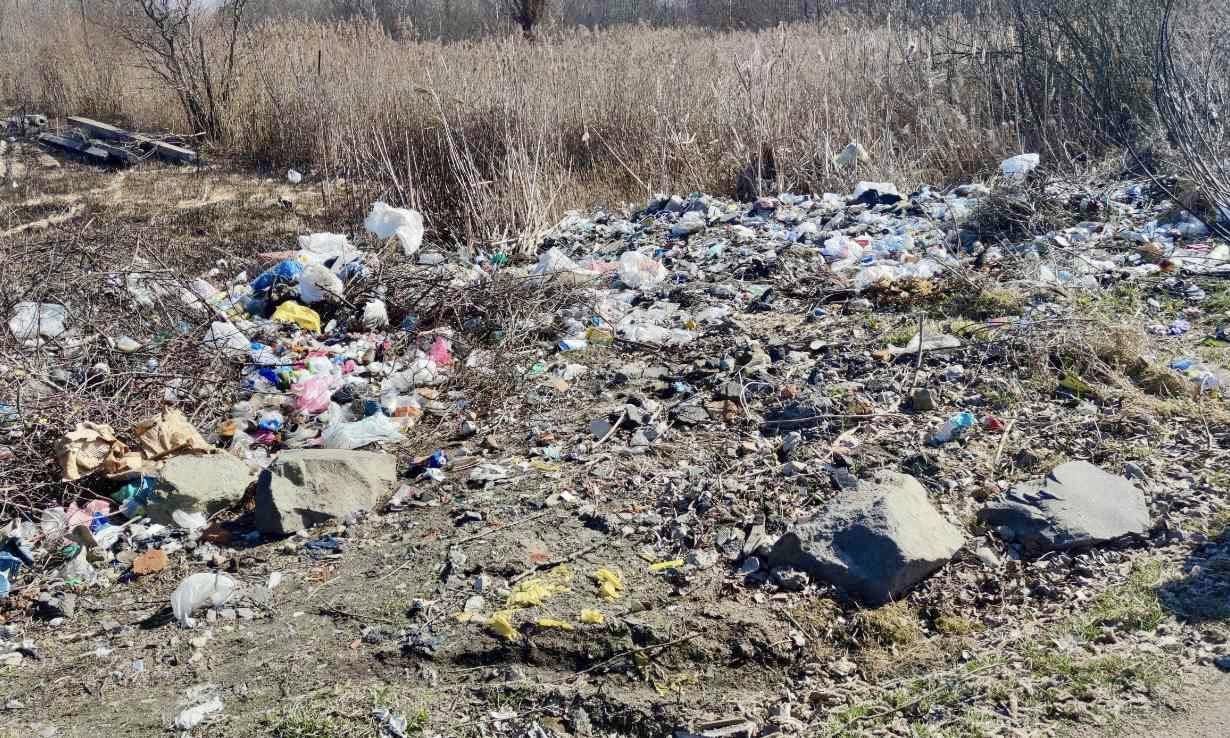 Стихійне сміттєзвалище на Рівненщині мають усунути