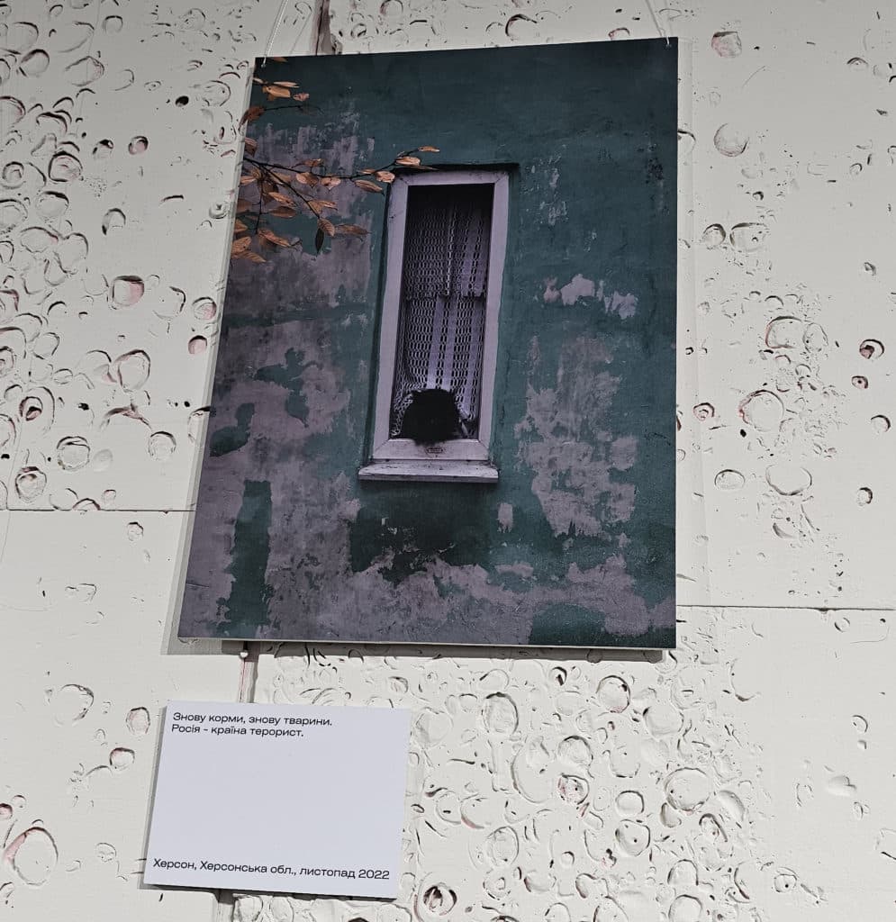«Я — є»: У Рівному відкрилася фотовиставка Кості «Стамбула» Юзвюка - фото 12 «Я — є»: У Рівному відкрилася фотовиставка Кості «Стамбула» Юзвюка - фото 12