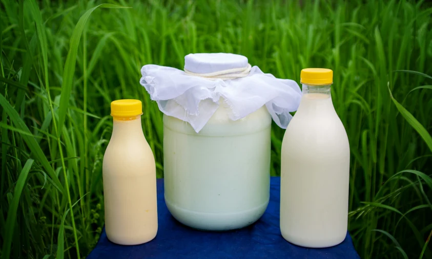 Зниження цін на молочні продукти очікується в Україні