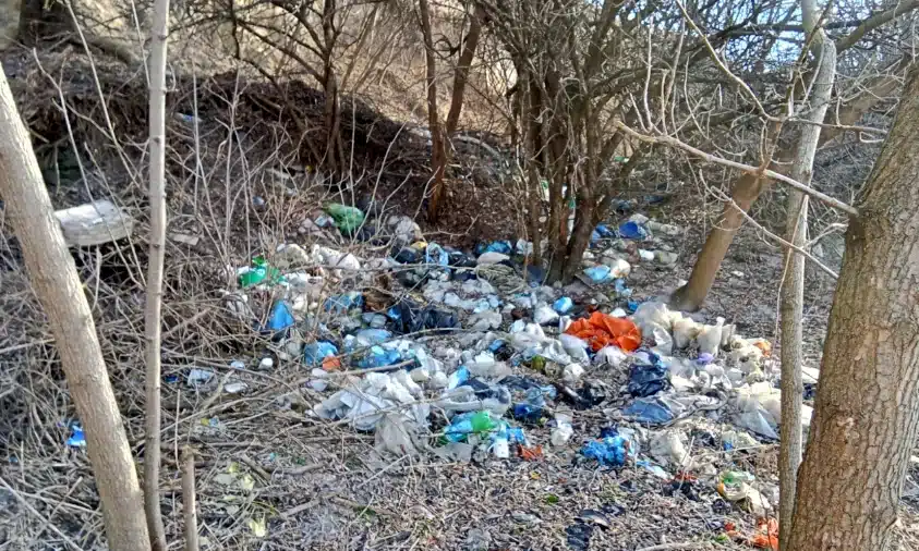 Несанкціоноване сміттєзвалище виявили у Клеванській громаді на Рівненщині Несанкціоноване сміттєзвалище виявили у Клеванській громаді на Рівненщині