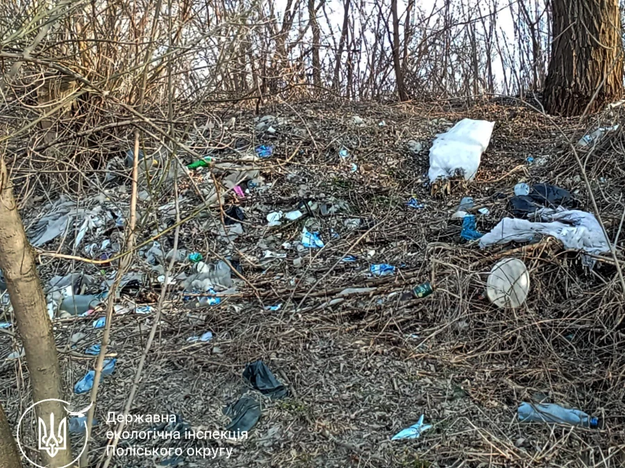 Несанкціоноване сміттєзвалище виявили у Клеванській громаді на Рівненщині - фото 1