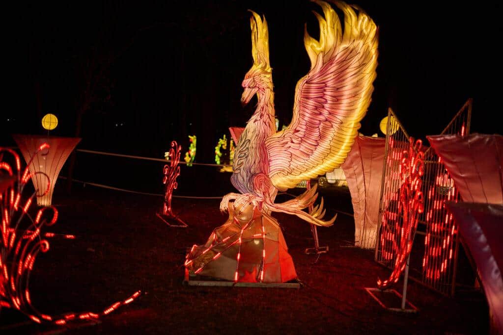 50 тисяч ліхтариків: у Рівному відкрився парк світлових фігур - фото 1
