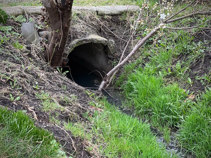 Водовідвідний канал у Костополі використовують для зливу нечистот - фото 2