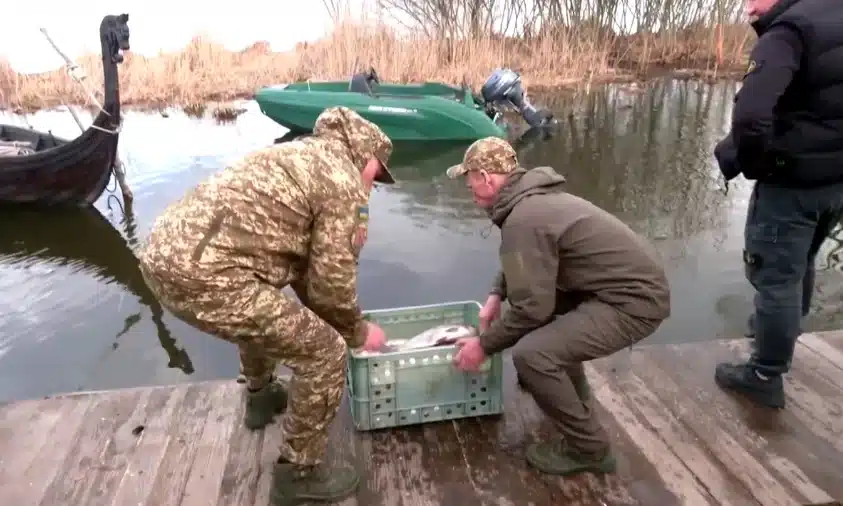 У Басівкутське озеро в Рівному випустили товстолоба білого Авточернетка