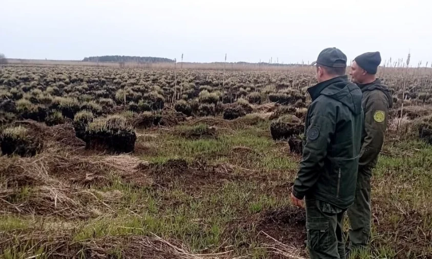 Згарище на 17 га виявили на території Нобельського нацпарку