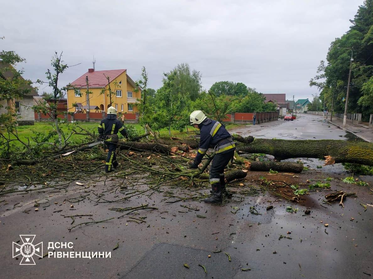 Дерево перекрило дорогу на Рівненщині: рух оперативно відновили