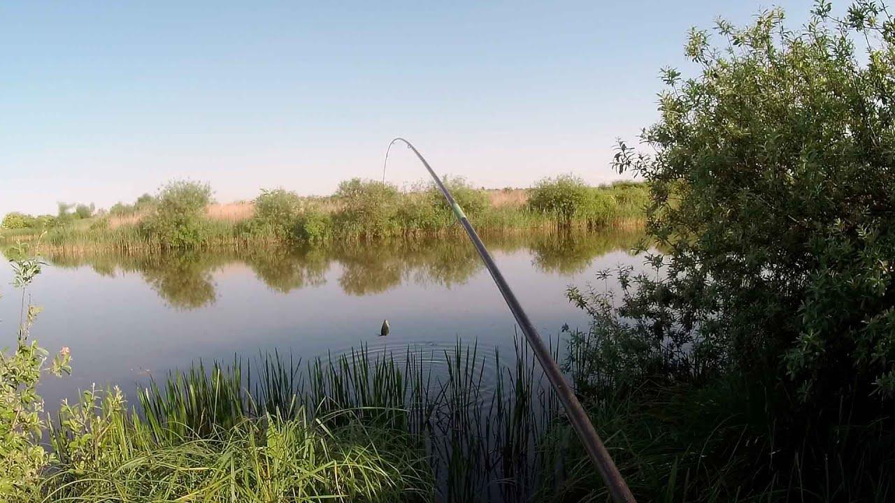 Червень на рибалці: коли їхати і що ловити на Рівненщині