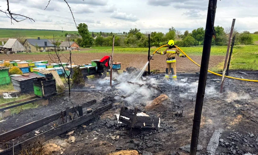 У селі на Рівненщині вогонь знищив вулики