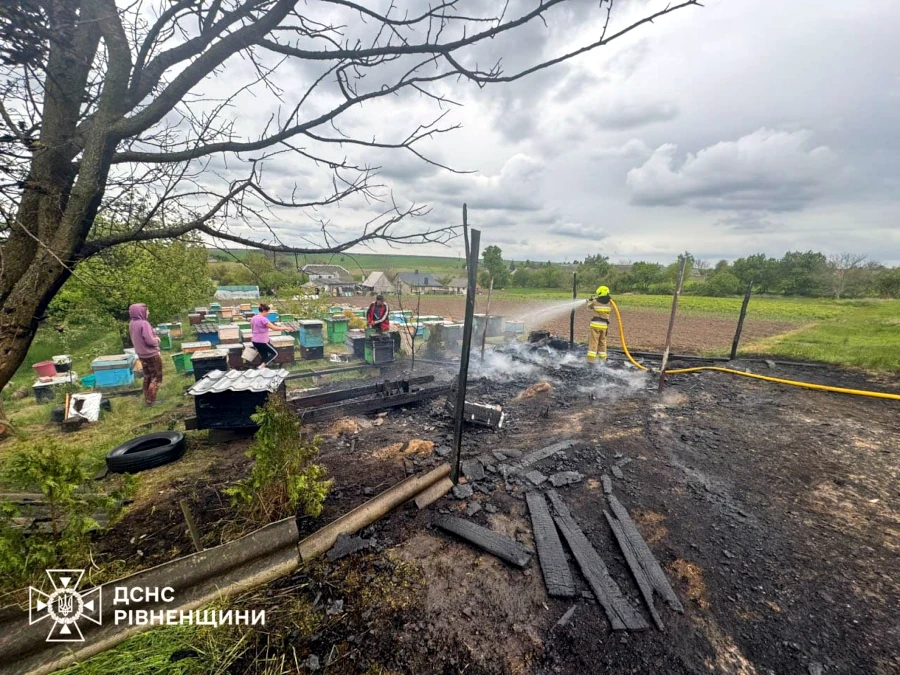 У селі на Рівненщині вогонь знищив вулики - фото 1