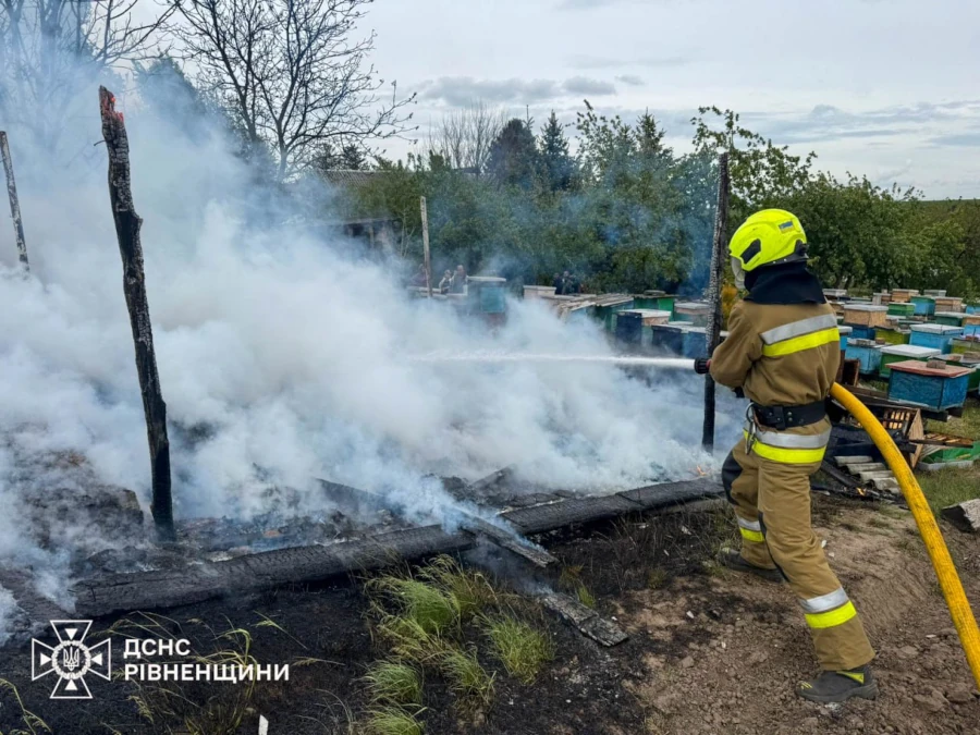 У селі на Рівненщині вогонь знищив вулики - фото 2