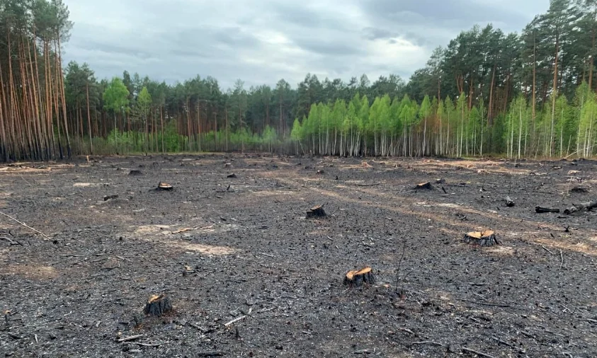 На Рівненщині оштрафували порушника за недотримання пожежної безпеки в лісі
