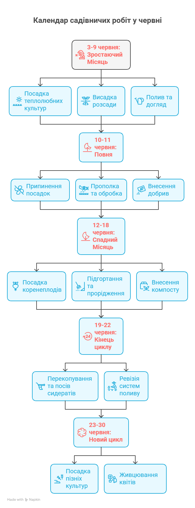 Посівний календар на червень: що і коли садити з урахуванням фаз Місяця - фото 1