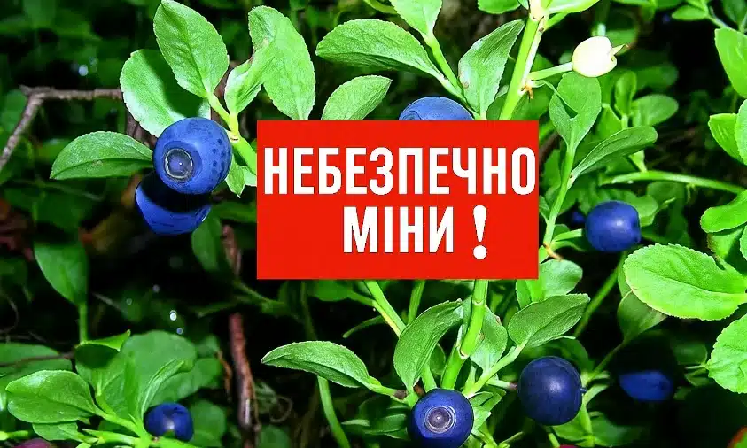 На Сарненщині заборонено відвідувати ліси в шести громадах через мінну небезпеку