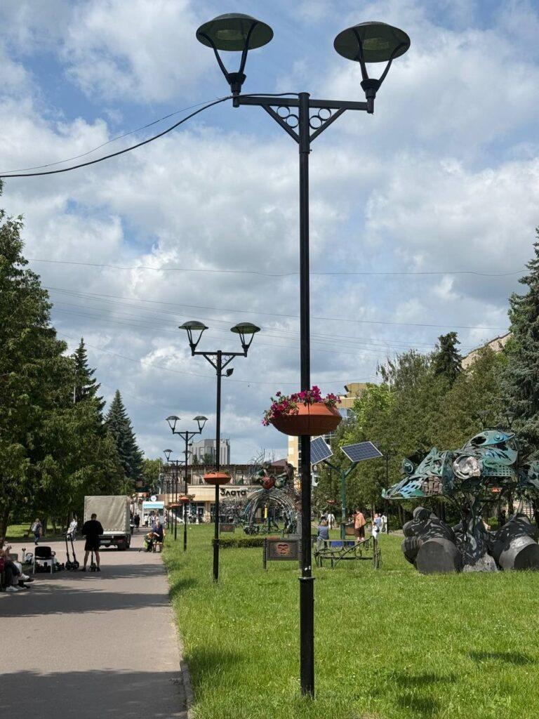 У Рівному на стовпах розмістили квіти в термочашах - фото 1