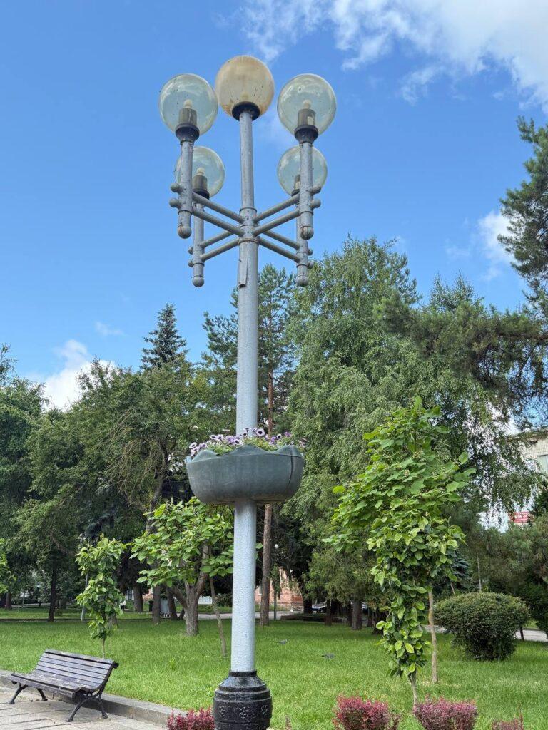 У Рівному на стовпах розмістили квіти в термочашах - фото 3